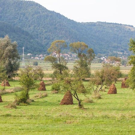Time-Out - Valea Oltului Ξενοδοχείο Balota  Εξωτερικό φωτογραφία