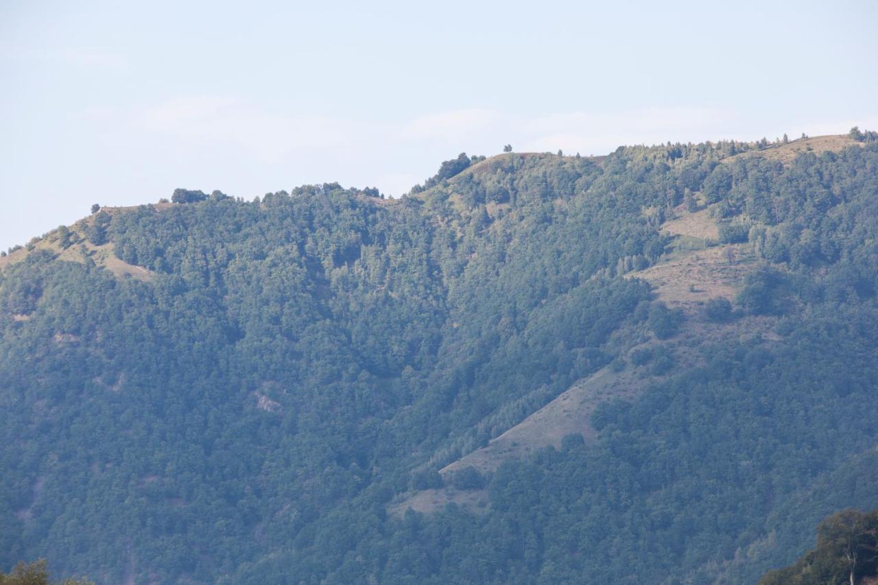 Time-Out - Valea Oltului Ξενοδοχείο Balota  Εξωτερικό φωτογραφία